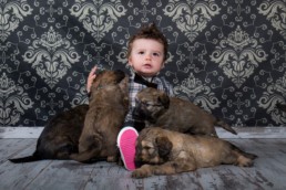 Photos Côté Gauche Christophe Golay - Studio - Séance canine
