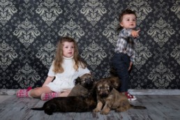 Photos Côté Gauche Christophe Golay - Studio - Séance canine