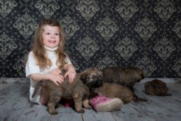 Photos Côté Gauche Christophe Golay - Studio - Séance canine
