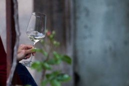 Photos Côté Gauche Christophe Golay - Evénement - Lancement Pinot Noir Bouvet-Jabloir
