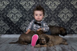 Photos Côté Gauche Christophe Golay - Studio - Séance canine