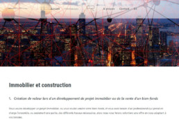 Sites internet - FRevaz Consult - Côté Gauche
